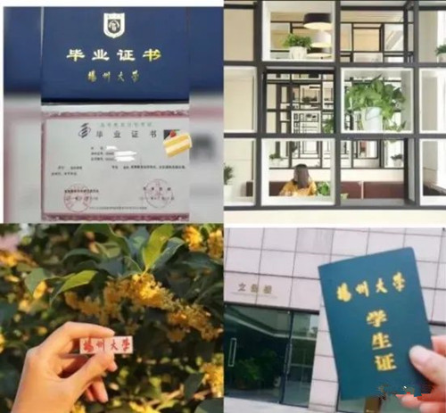 扬州大学全日制专接本助学班