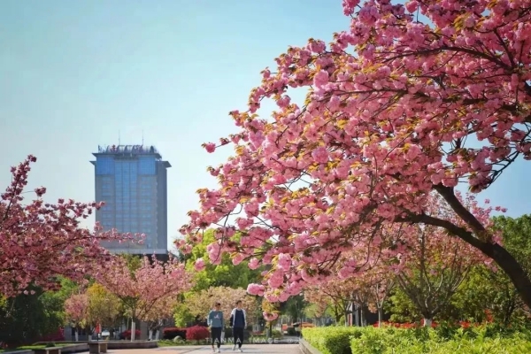 南京航空航天大学全日制自考助学本科