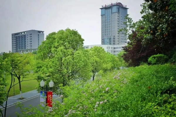 南京航空航天大学全日制自考助学本科